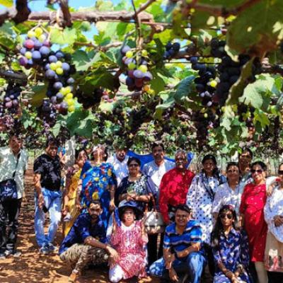At Grapes Farm